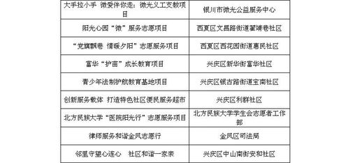 銀川市志愿服務項目評審會圓滿結束，項目策劃與公關服務彰顯專業水平
